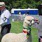 Ashburton A & P Show event image