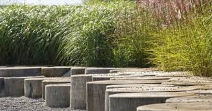 Riedpark By Fontana Landschaftsarchitektur Basel Landschaftsarchitektur Landschaftsdesign Naturspielplatz