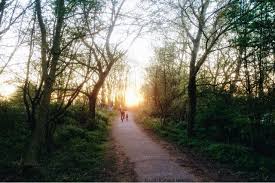 Sunset At Witham Woods Park Boston Lincolnshire Bostonborough Officialbostonunited Thewhitehartboston Lincolnshirelens Lincolnshire Photography Instagram