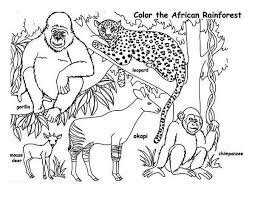 Assemble an assortment of mini animal habitat sensory tubs for kids to play with using small plastic animals … or their imaginations! Rainforest African Rainforest Animals Coloring Page African Rainforest Animals Coloring Pagef Animal Coloring Pages Giraffe Coloring Pages Rainforest Animals