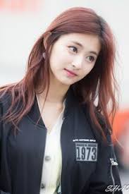 Albert Armando (albertarmando4)