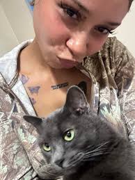 Lost indoor cat in Blaisdall area?