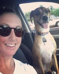 Missing dog Penny, friendly runner, Bicknell area