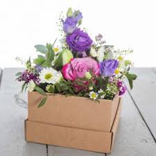 Check spelling or type a new query. Blumen Elke Drewes Blumen Floristik Grabpflege Und Gartnerei In Herford