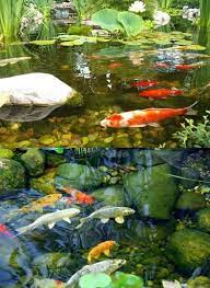 Pin Von Mone Auf 1동물 In 2021 Tiere