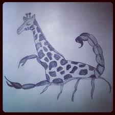Drawing Challenge Day 7 Animal Hybrid Creative Art Art Art Drawings