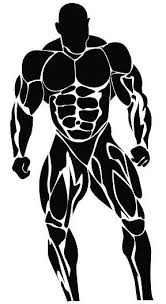 Http Www Bodymaxgymbn Com Gym Art Bodybuilding Logo Gym Wallpaper