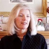 Nancy Marie Osman Obituary (2024)