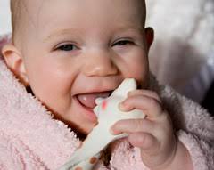 Sophie the Giraffe and More...