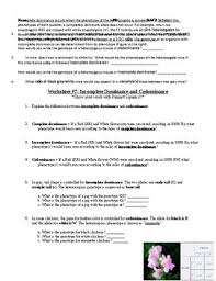 Due to the fact we should supply everything required in a single reputable and efficient resource, we provide very helpful info on different subject areas and also topics. Mendelian Genetics Worksheet Answers Free Download Worksheets Pictures 2020