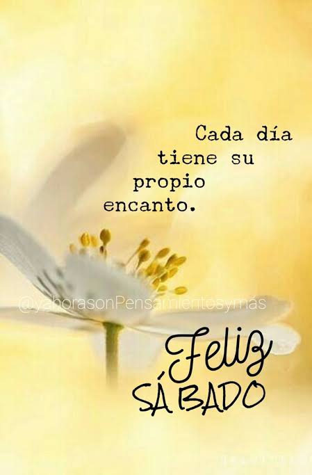 Feliz Sendo - Frases de buenos días | Frase del dia sabado, Feliz sabadi, Precioso sabado