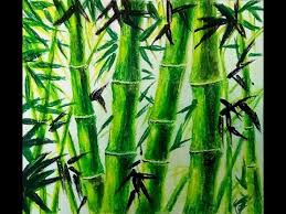 How To Draw Bamboo Bamboo Drawing Step By Step Oil Pastel Drawing Realistic Drawing Realistic Art Youtube Here you can explore hq bamboo tree transparent illustrations, icons and clipart with filter setting like size, type, color etc. how to draw bamboo bamboo drawing step by step oil pastel drawing realistic drawing realistic art