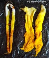 Learn how to dye using turmeric and cabbage with this simple tutorial. Dyeing Wool With Turmeric A Step By Step Guide Fibercurious