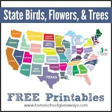 We have enjoyed bird watching and flower appreciation on many or our trips, and the state birds and flowers coloring book has provided her with a way to enhance her memories of happy times, as well as enjoy the coloring these birds and flowers have provided her with hours of reminiscing. State Birds Flowers Trees Free Printables Homeschool Giveaways