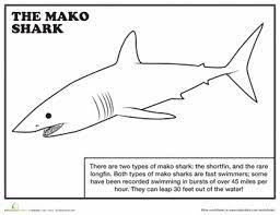 Mako Shark Worksheet Education Com Shark Coloring Pages Mako Shark Shark Facts