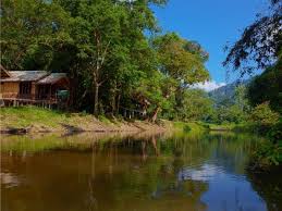 These individually furnished accommodations include desks. Top 10 Hotels Im Khao Sok Nationalpark