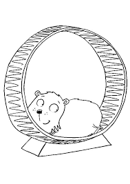 Collection of hamster coloring pages. 25 Best Hamster Coloring Pages Your Toddler Will Love To Color Coloring Pages Bear Coloring Pages Birthday Coloring Pages