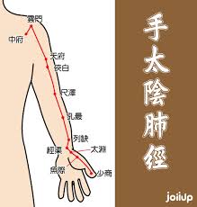 凌晨3~5點醒 肺陰虛不足  医学常識