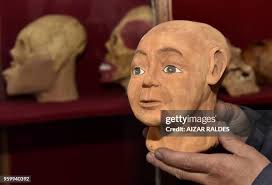 383 Forensic Anthropologist Stock Photos, High-Res Pictures, and Images