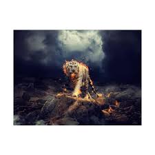 White tigers love eating protein territory: Jual Wingman Hd 8982 Fire Cgi White Tiger 3200x2400 3d Wallpaper Online Januari 2021 Blibli