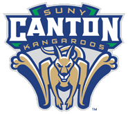 Suny Canton College Of Technology Aas In Computer Information Systems And A Bt In Information Technology Canton State University University