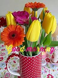 Orange colour flowers good morning images. Good Morning Orange Flower Images Flower