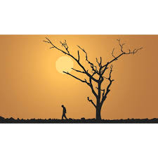 غروب الشمس صورة ظلية خلفية خلفية غروب الشمس صورة ظلية ورق الجدران صورة الخلفية للتحميل مجانا