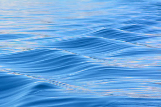 Interesting Water Facts You Didn't Know | Neverfail