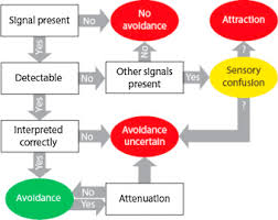 Chemical Avoidance Responses Of Fishes Sciencedirect