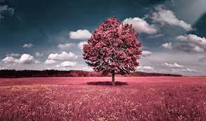Here are only the best beauty salon wallpapers. Most Beautiful Wallpapers Wallpaper Cave