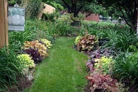 Favorite Heuchera Combinations Heuchera Forum Gardenweb Heuchera Daylily Garden Day Lilies