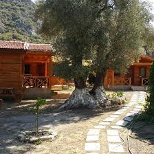 Each plant represents a relationship, dream, goal, or other important aspects of your life. Lodge Datca Dream Garden Evleri Mugla Turkey Booking Com