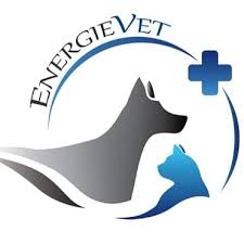 Energievet - Vétérinaire à Salles