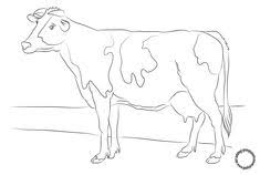 Gambar mewarnai binatang untuk anak tk dan sd terbaru 2019. Novie Anggraini Hip Hiphura99 Profile Pinterest