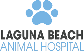 Residents 70 years and older, are offered a discount on adoption fees. Laguna Beach Animal Hospital