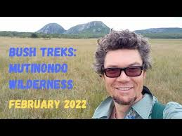 Image result for Habenaria gonatosiphon