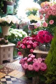Dina 4 osterhasenbilder / default password im c3000 location 60 mois im c3000 beeatwork we have had ricoh printers for a couple of years with the default admin and blank password kumca. 7 Best Flower Arrangements Uniquely Jiba Flowers Images Flower Arrangements Flowers Pretty Flowers
