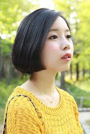 This bold style has been worn by career women as well as soccer moms. Asian Bob Pics You Will Love Bob Haircut And Hairstyle Ideas