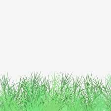 Decorative Green Space Fresh Green Grass Grassland Grass Green Grass Cartoon Green Grass Png Transparent Clipart Image And Psd File For Free Download Green Grass Background Grass Background Green Space