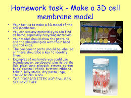 Assets are ready to use in blender, zbrush, photoshop and in other software. Starter Activity Answer The Following Question In Your Classwork Jotter What Type Of Fibres Are The Cell Walls Of Plants Made Of Name The Small Rings Ppt Video Online Download