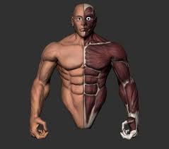 Its bones, muscles, nerves, joints, blood vessels and lymphatics, anatomical areas, and structures found in the hand. Abhijeet Sid