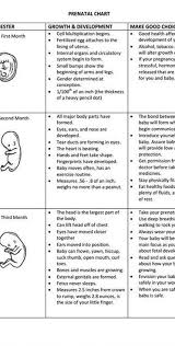Pin By Leah Welch On 2fb Family And Consumer Science Teach Family Child Development Theories
