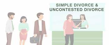 We did not find results for: How To Get A Simple Divorce Or An Uncontested Divorce In Ontario W Downloadable Forms