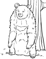 Learn all about bears at howstuffworks. Book Bear Colouring Pages Coloring Library