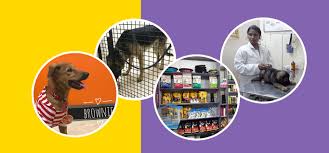 Schedule an appointment today to ensure your dog is as happy as can be. Eden Pets Care Pet Clinic In Mogappair Chennai