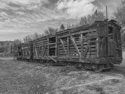 D Rgw Stock Cars Model Trains Historic Train Station Colorado Railroad