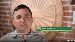Video: The Voice of Main Street Cannabis |