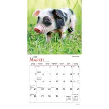 These calendars are great for family, clubs, and other quickly print a blank yearly 2021 calendar for your fridge, desk, planner or wall using one of our pdfs or images. Piglets 2021 Mini Calendar By Browntrout Calendar Club Canada