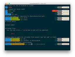 Iterm2 Oh My Zsh Solarized Color Scheme Source Code Pro Powerline Font Awesome Powerlevel10k Macos Powerline Coding Color Schemes
