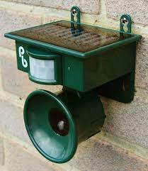 How can i stop our neighbour's cat from fouling the garden? How To Stop Cats From Fouling In Your Garden Winkypedia